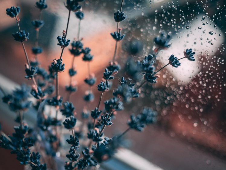 blue-blur-calm-1534993